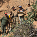 Nuevo hallazgo de restos fósiles humanos en Calamuchita